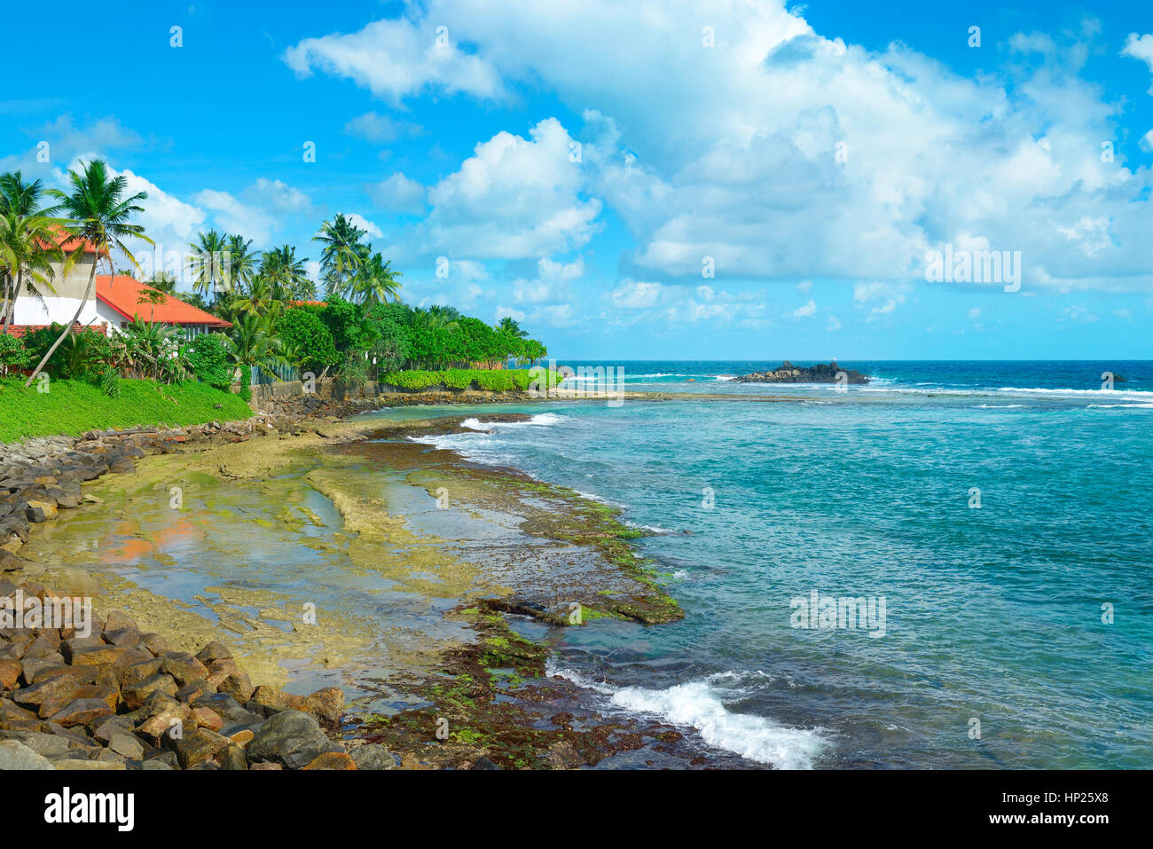 Ozeanstrand mit Palmen und blauer Himmel. Sri Lanka Stockfoto