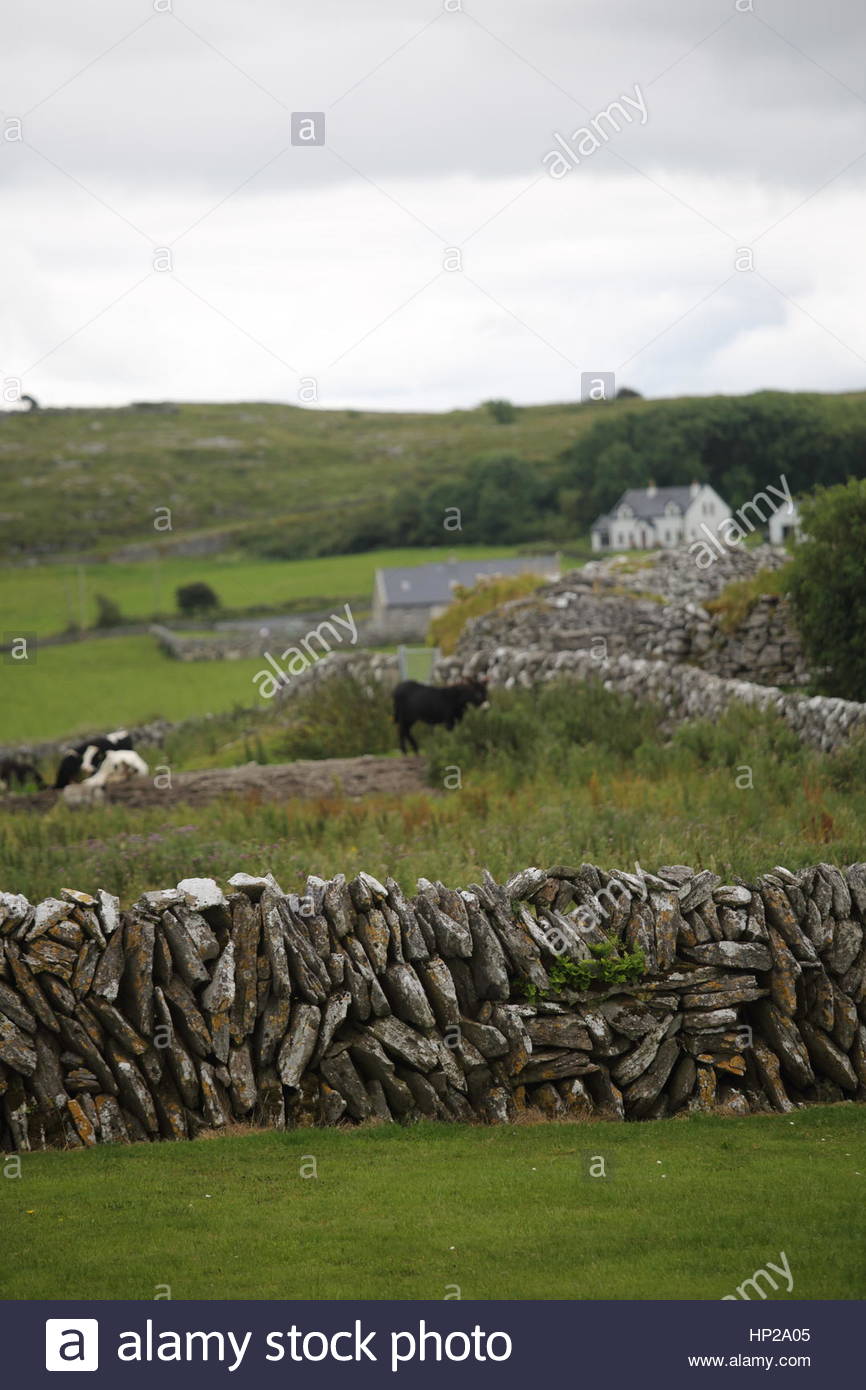 Irische Landschaft aus Stein und Wasser an der Küste in Connemara, Irland Stockfoto