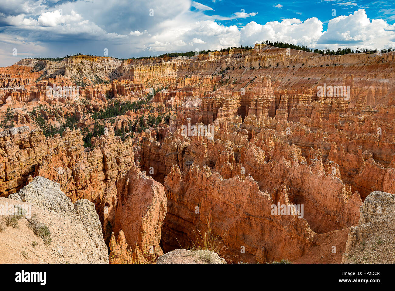 Schöne Landschaft von Bryce-Canyon-Nationalpark aus übersehen Stockfoto