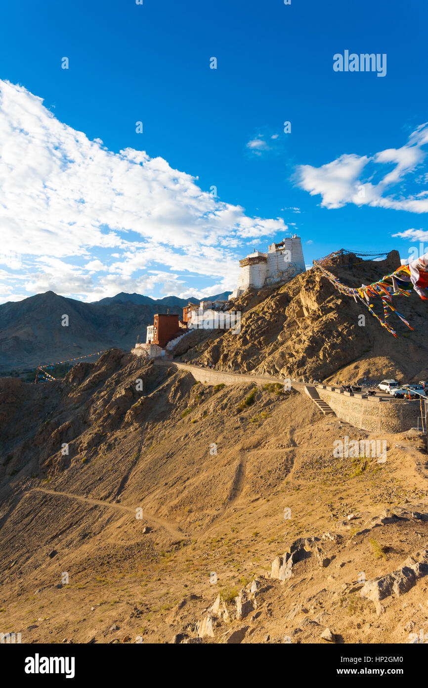 Tsemos Fort und Namgyal Tsemos Gompa auf einem Berg über dem Leh und Nubra Tal an einem Sommertag in Ladakh, Indien. Vertikal Stockfoto