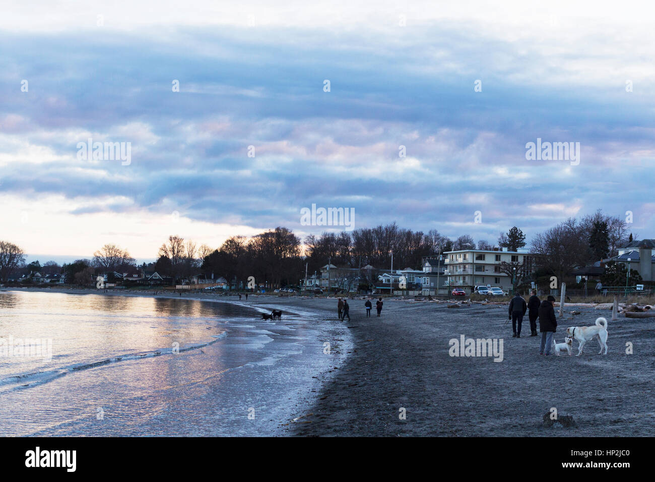 Weiden-Strand. Oak Bay, BC, Kanada Stockfoto