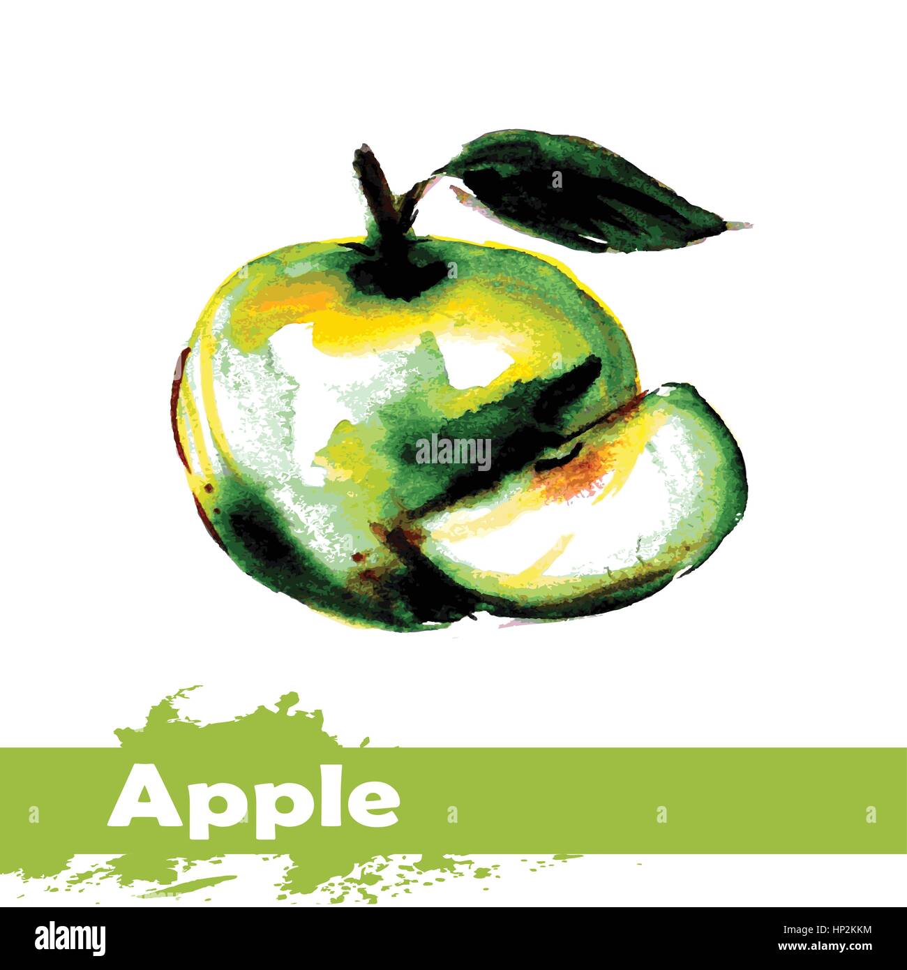 Handgezeichnete Aquarell auf weißem Hintergrund. Vektor-Illustration von Obst Apfel Stock Vektor