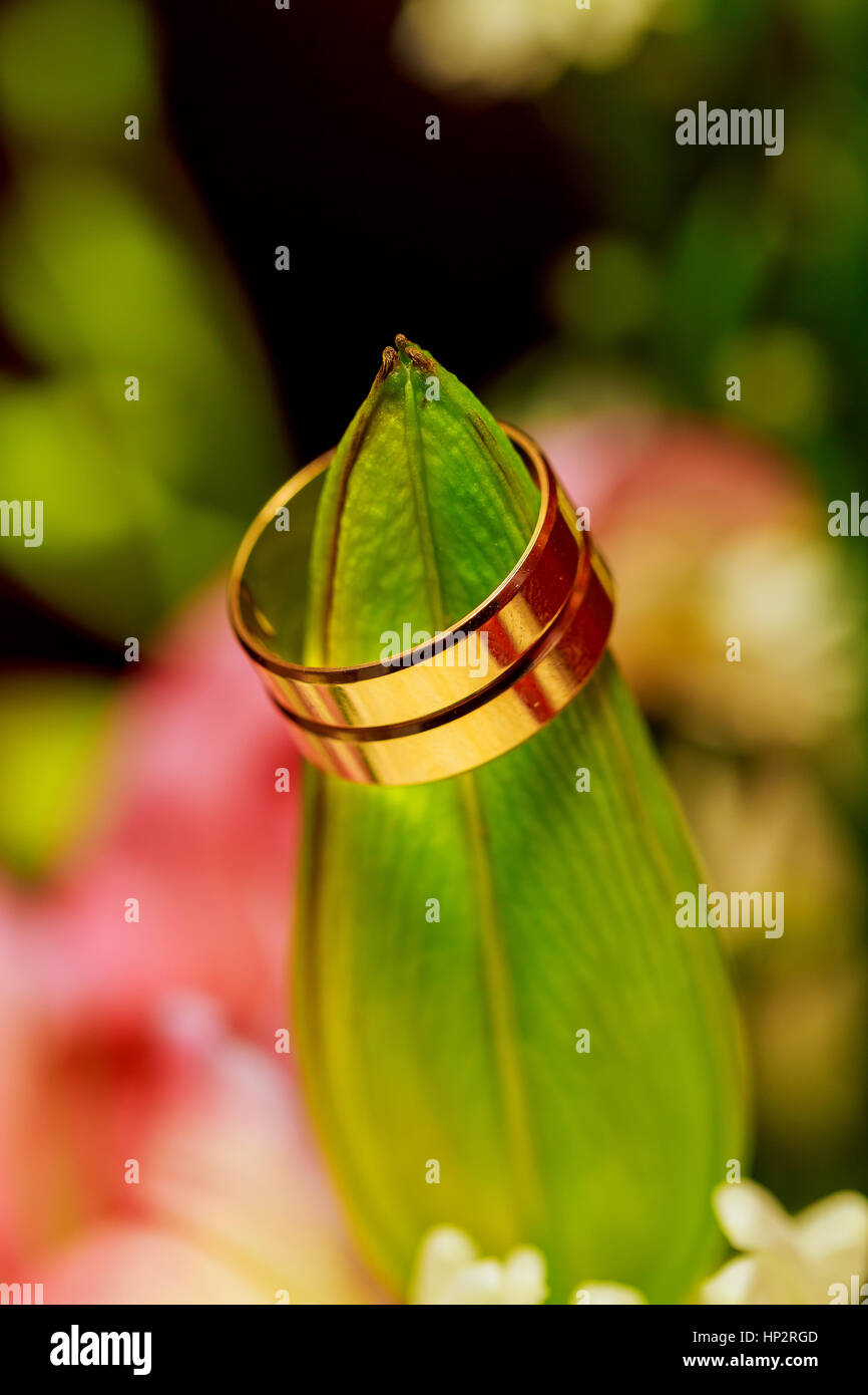 Brautstrauß und Ringe, Hochzeit, Blume, Ehe Stockfoto