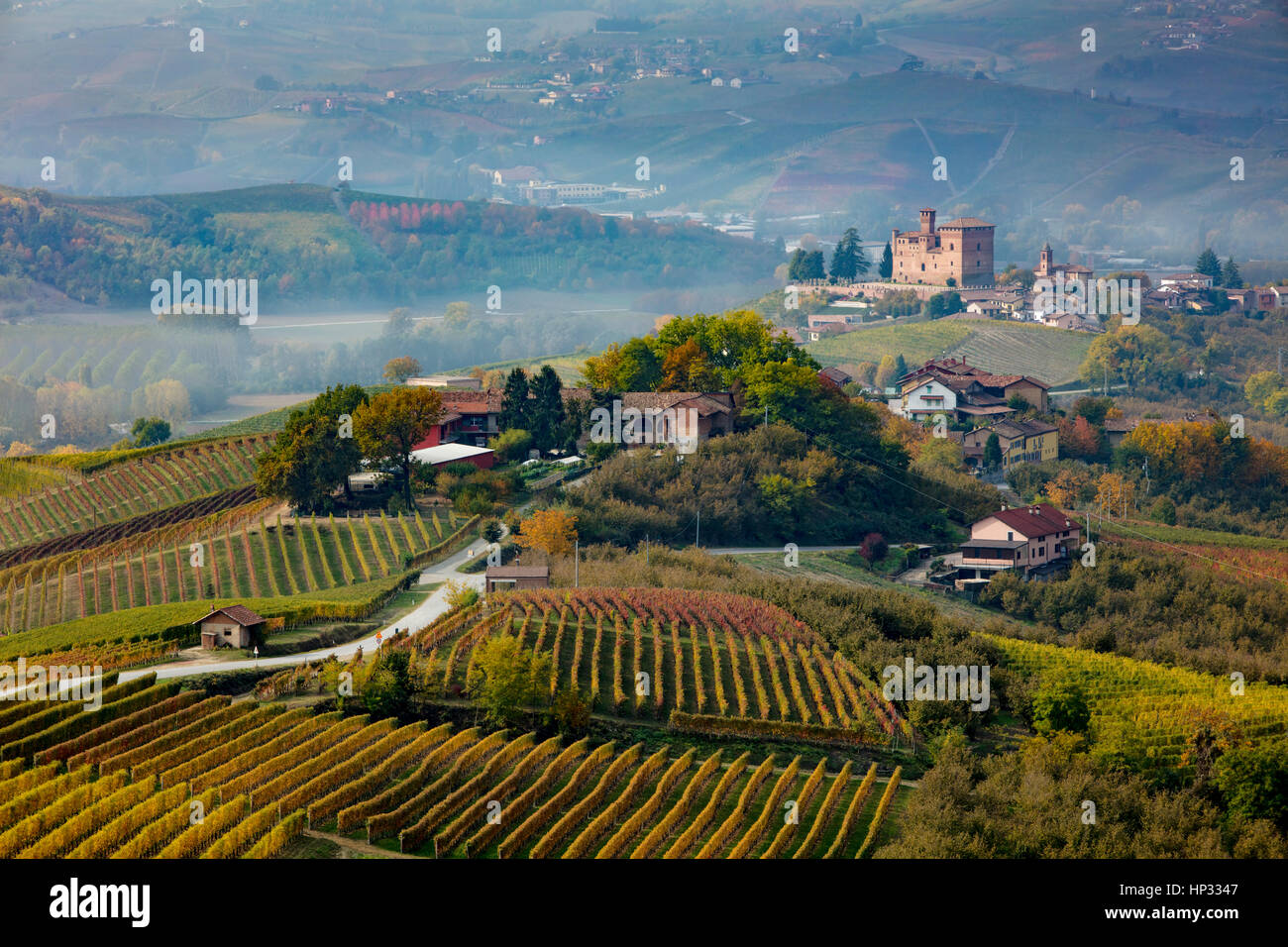 Blick über Weinberge in Richtung Castello di Grinzane Cavour, Langhe Region, Piemont, Italien Stockfoto