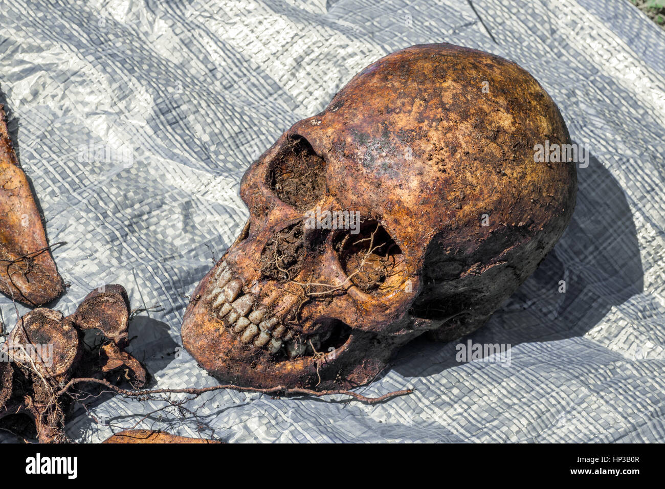 Skelett von einem unbekannten verschütteten bleibt Stockfoto