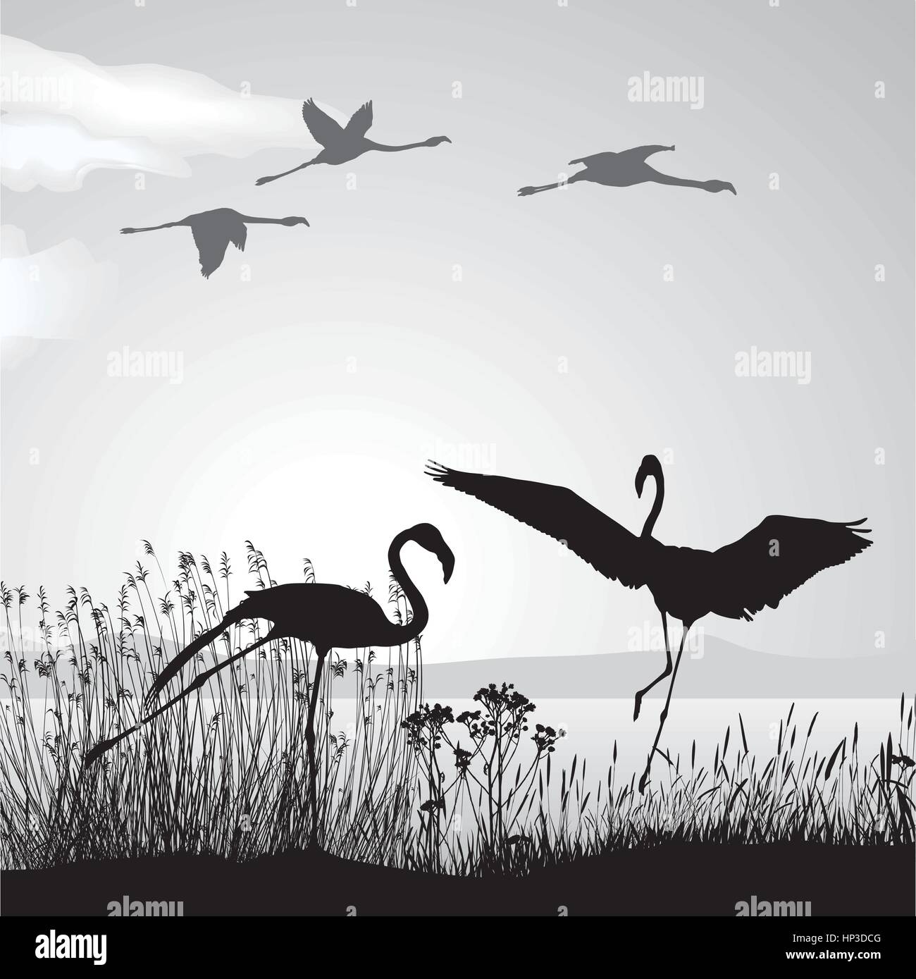 Flamingo am Seeufer Stock Vektor