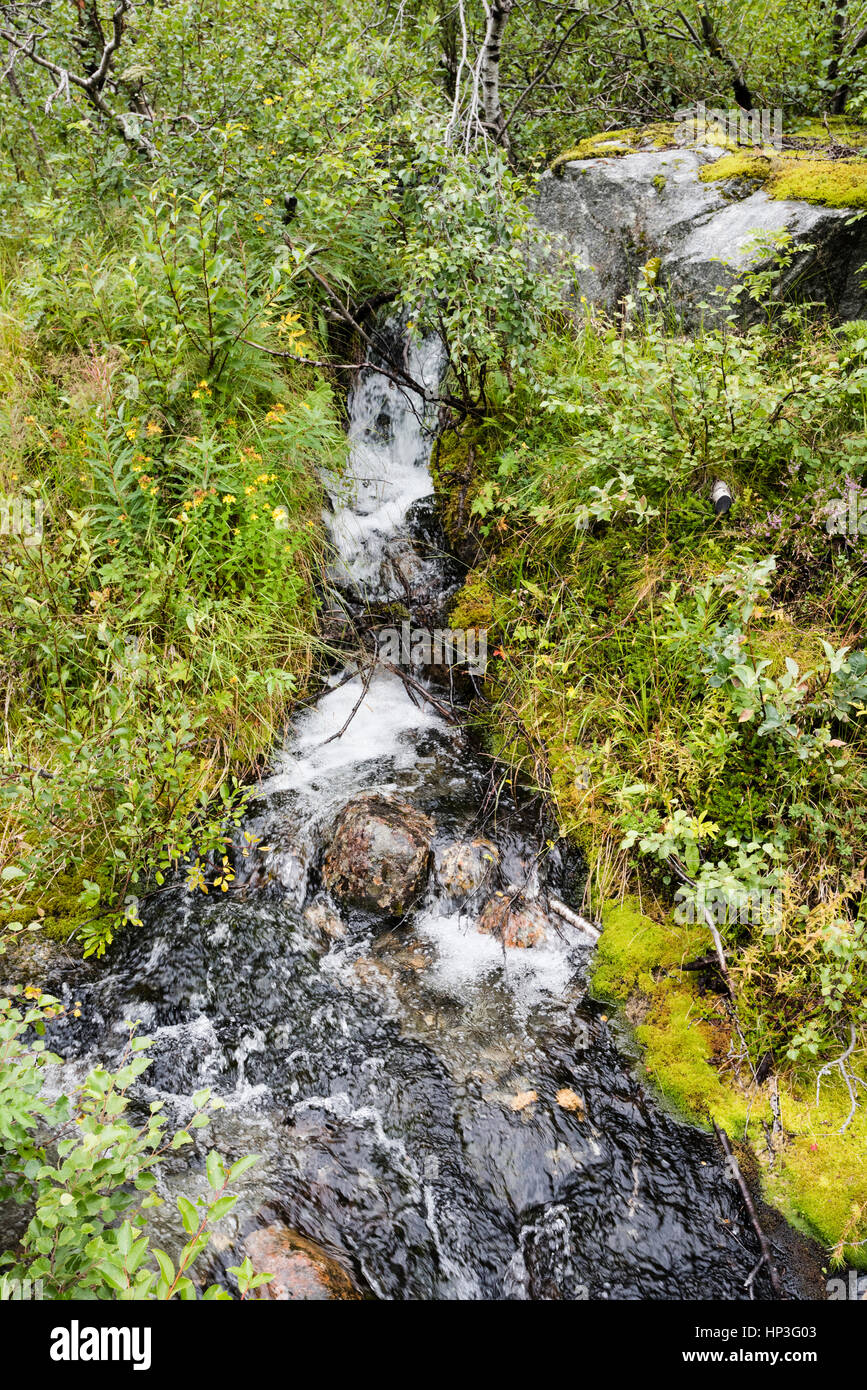 Ein kleiner Wasserfall im Wald neben dem Fußweg in Jostedal - Norwegen. Dies ist der Weg zum Gletscher Nigardsbreen. Stockfoto