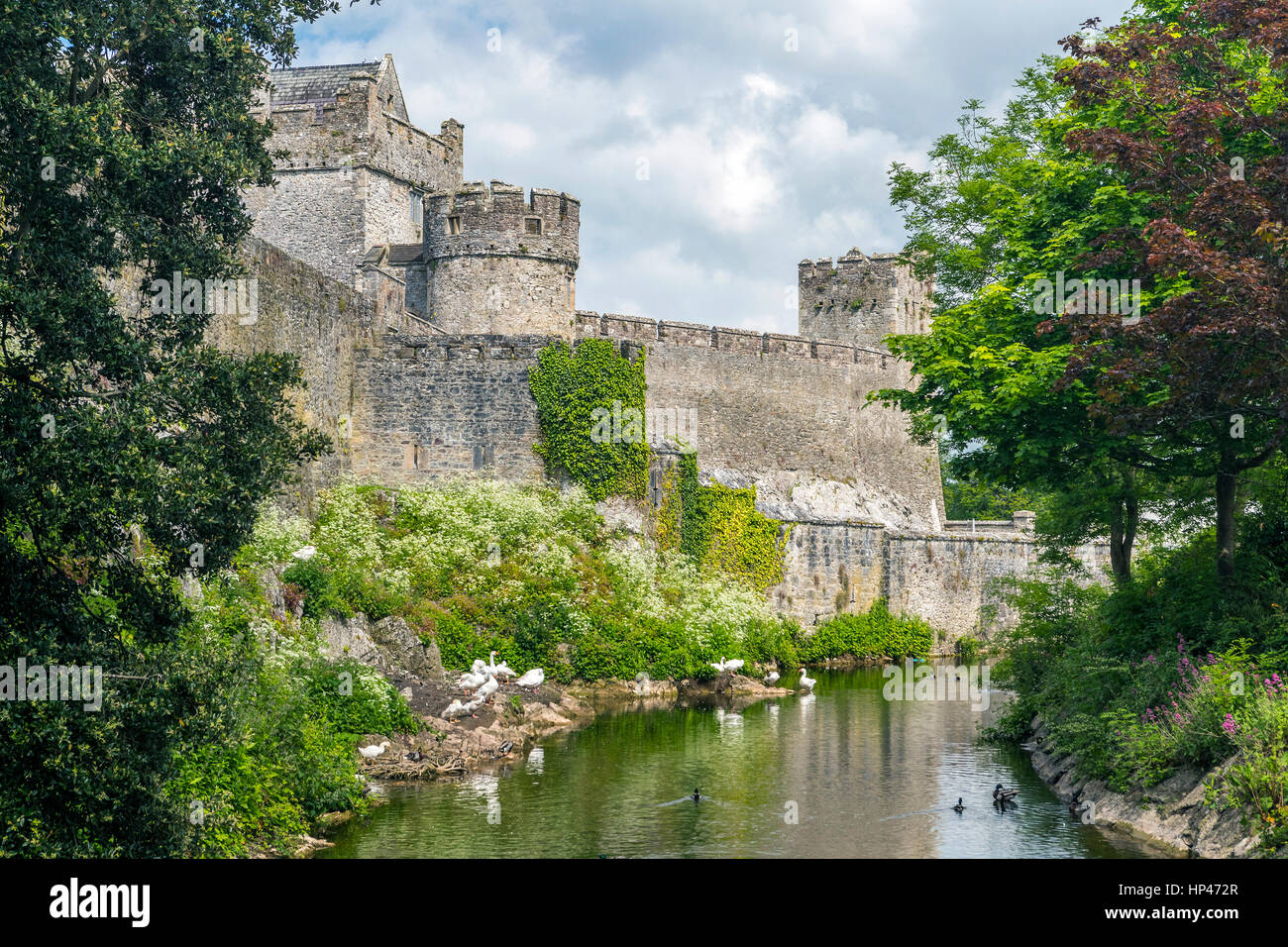 Cahir Castle, County Tipperary, Munster, Irland, Europa. Stockfoto