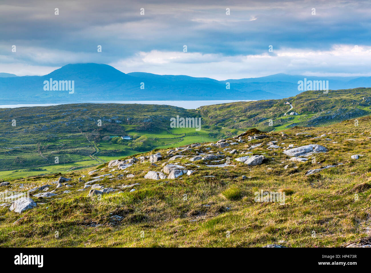 Schafmilch Kopf, West Cork, wilden Atlantik Weg, Süden Westen Irlands, Europa. Stockfoto