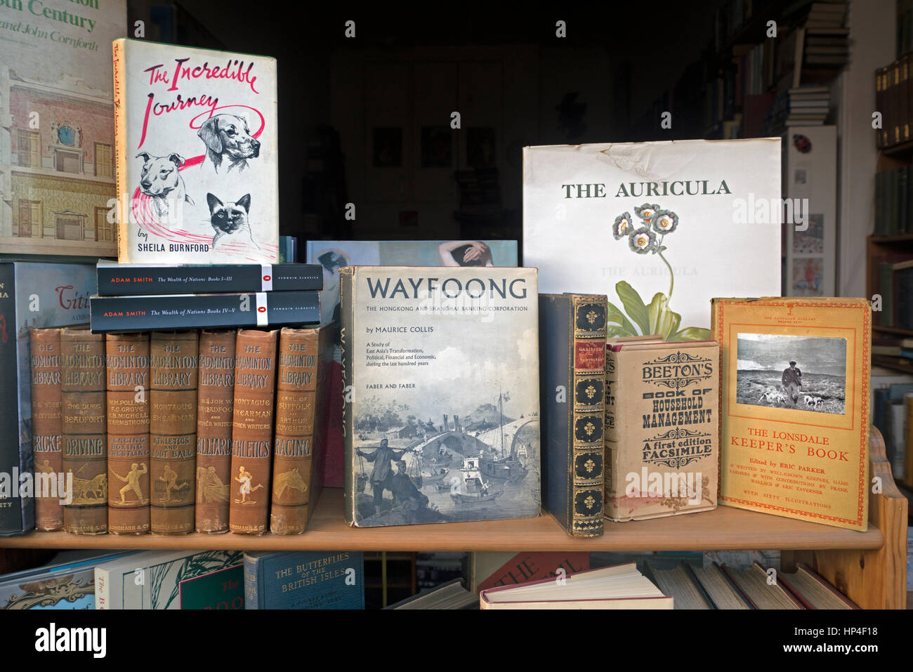 Oldtimer Bücher zum Verkauf in einem Antiquariat in Edinburgh, Scotland, UK Stockfoto