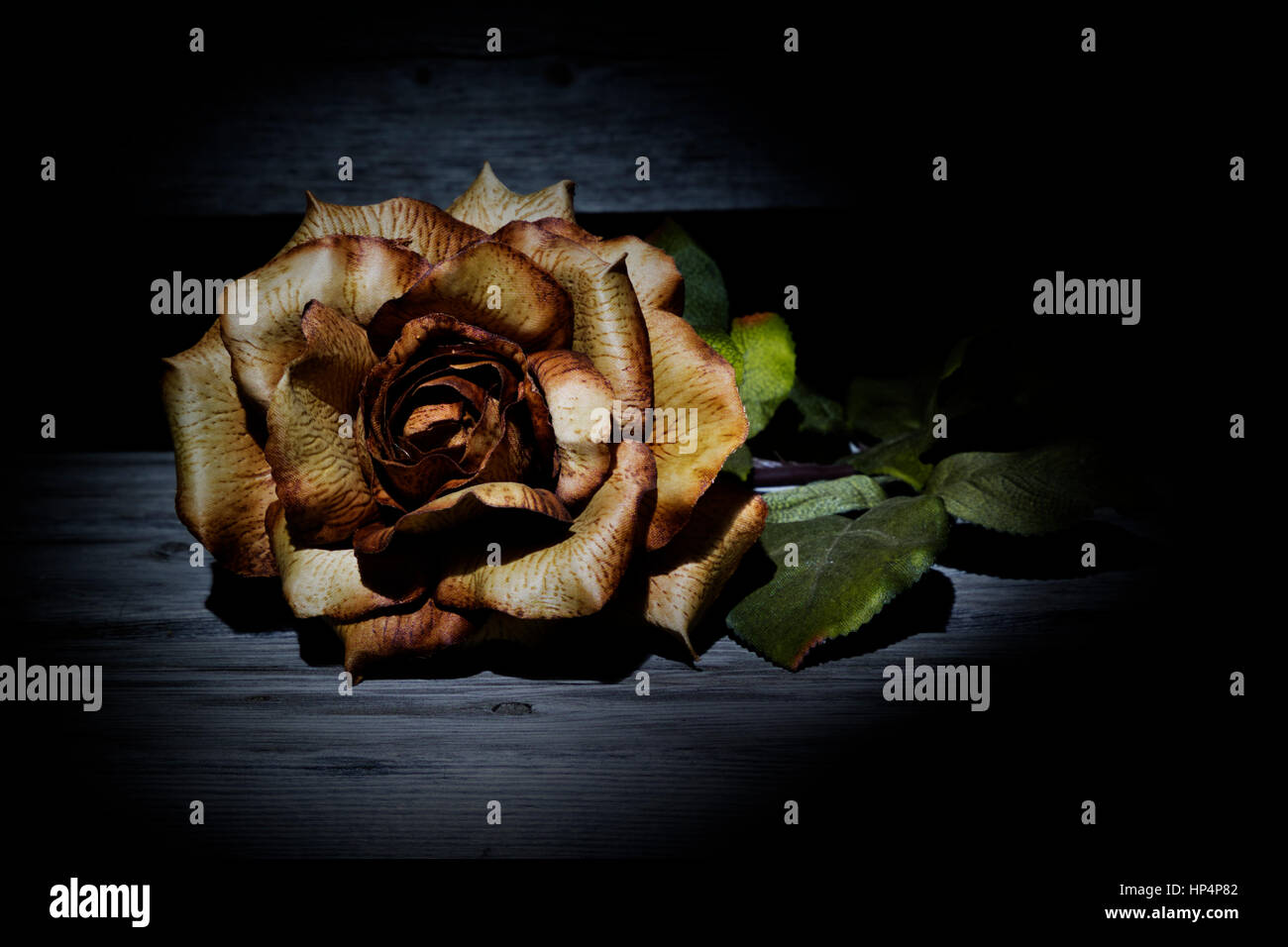 Kunststoff Rose durch eine LED Penlight beleuchtet. Stockfoto