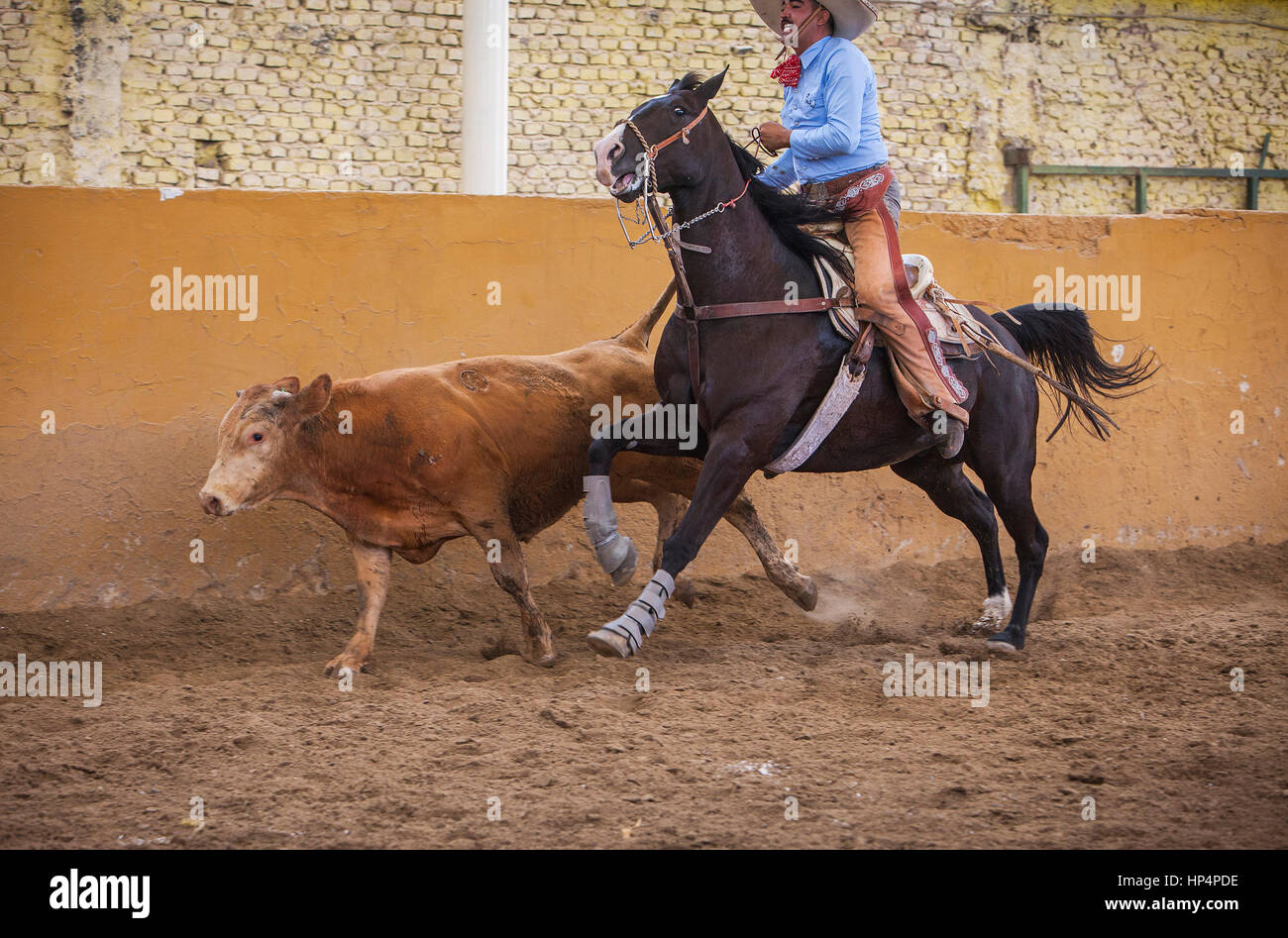 Bull Riding Mexican Rodeo Stockfotos und -bilder Kaufen - Alamy