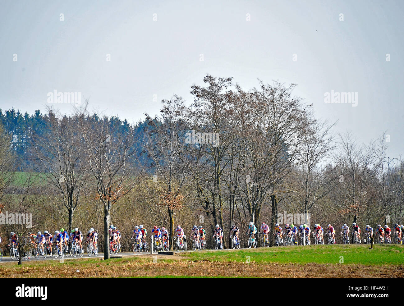 Dippach, Luxemburg 25.03.2012. Das Pack in Aktion während des GRAND PRIX AUTOPOLIS DIPPACH Radrennen Stockfoto