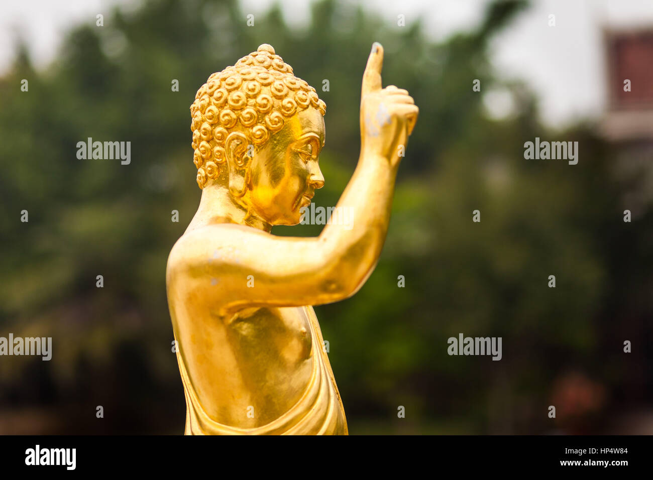 Zeigt Baby Buddha, Thai-Tempel Lumbini, Nepal Stockfoto