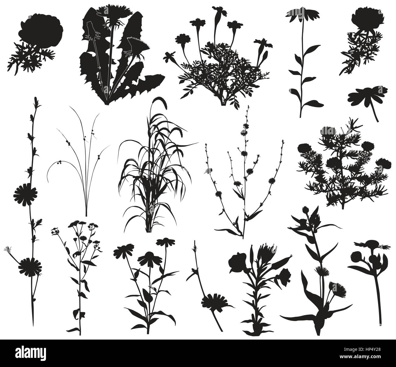 Sammlung von Silhouetten von verschiedenen Arten von Blumen Stock Vektor