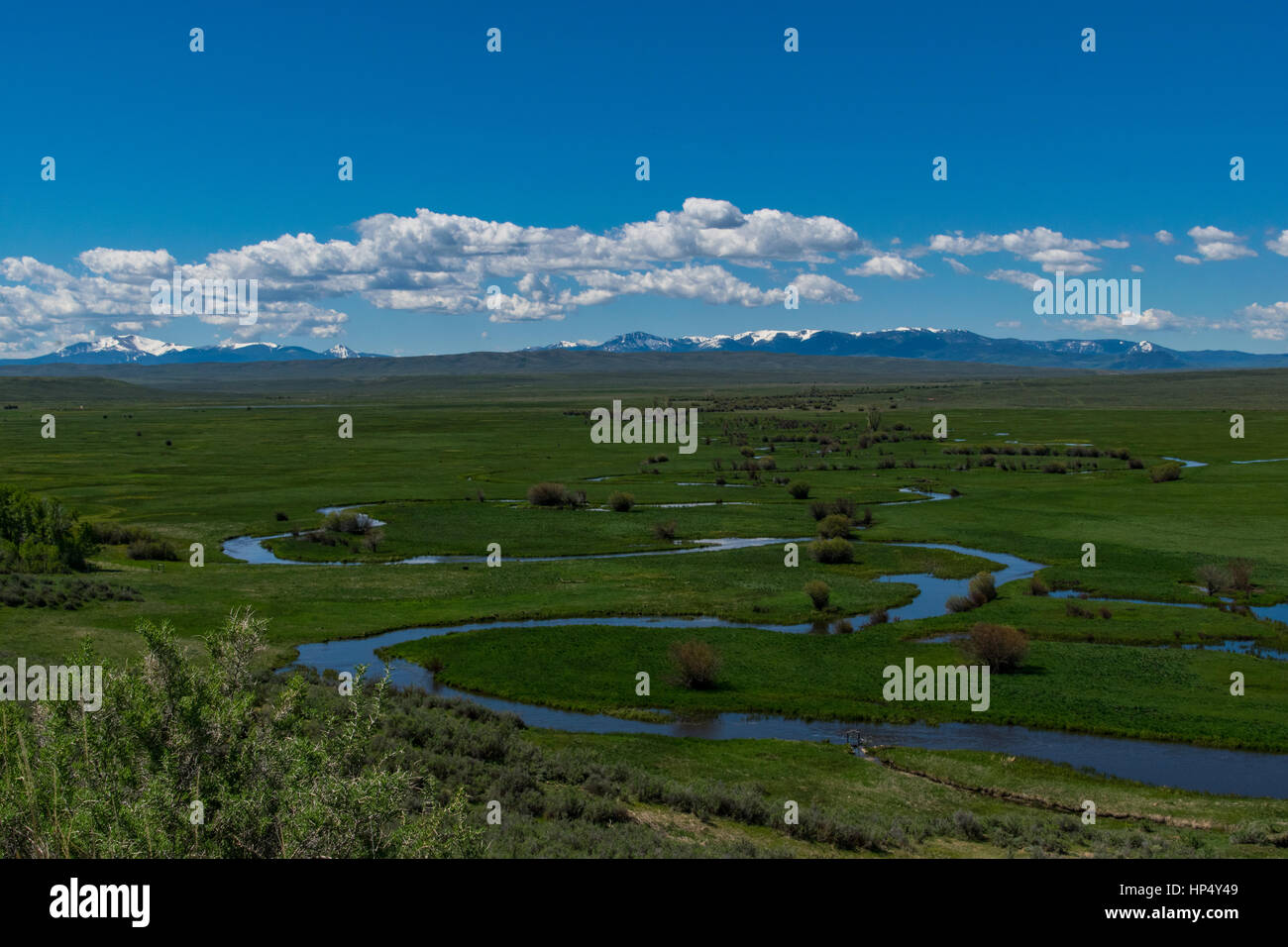 Ein Fluss schlängelt sich durch ein weites Tal in Colorado Stockfoto