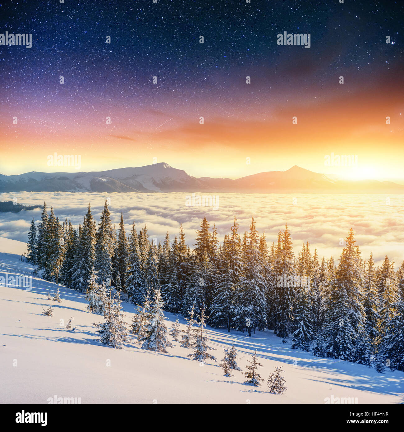 Sternenhimmel im verschneiten Winternacht. fantastische Milchstraße Stockfoto