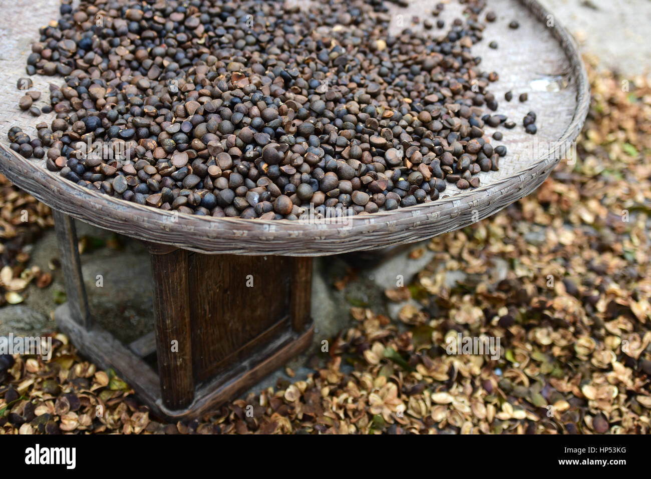 Camellia Öl Samen für Teeöl mit alten Bambuskorb in einem alten Dorf von China. Stockfoto