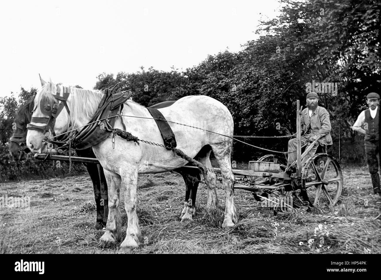 In der Ecke eines Feldes in Keighley, Yorkshire, ein Bauer auf einer neuen Bamford Gras Gras schneiden Maschine sitzen zwei Pferde vorgespannt. Ein landwirtschaftlicher Arbeitnehmer steht hinter der Maschine, die Hände auf den Hüften. Foto ca. 1900, restauriert von einem hohen Auflösung aus der original viktorianischen negative zu scannen. Stockfoto
