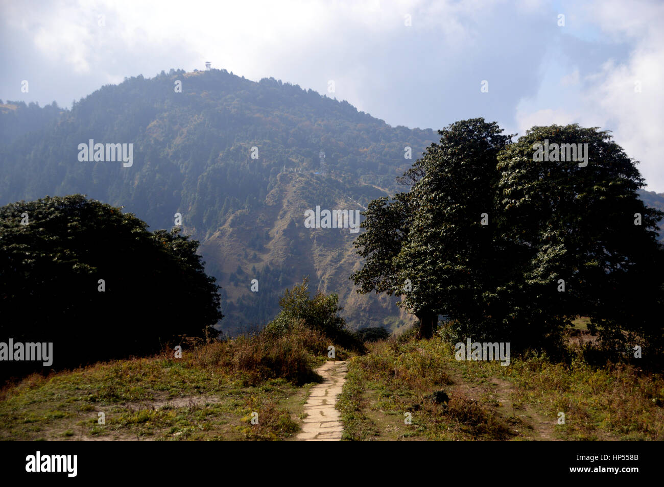 Blick nach Westen auf den Aussichtsturm am Poon Hill von den Fußweg zu Ghorepani im Annapurna Sanctuary, Himalaya, Nepal, Asien. Stockfoto