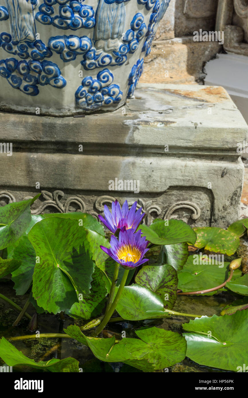 Buddhistischer Tempel des sich zurückneigenden Buddha (Wat Pho) in Bangkok, Thailand Stockfoto