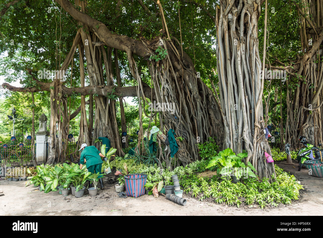 Gartenarbeit im zentralen Bangkok Park Stockfoto