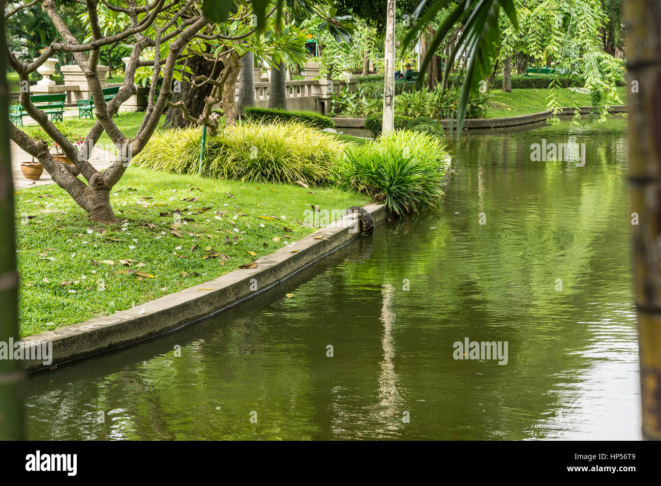 Dragon in einem Park in Bangkok, Thailand Stockfoto