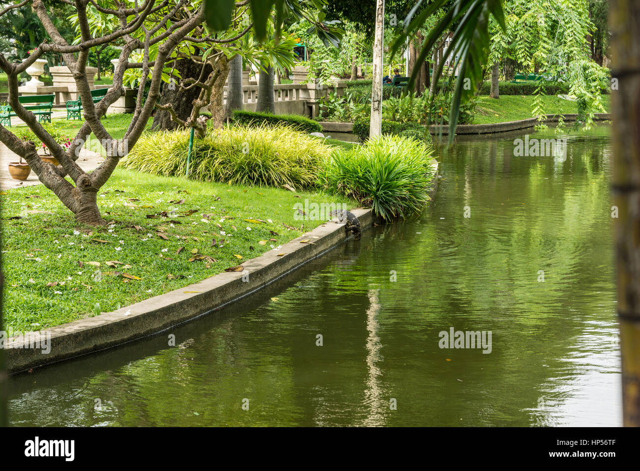 Dragon in einem Park in Bangkok, Thailand Stockfoto