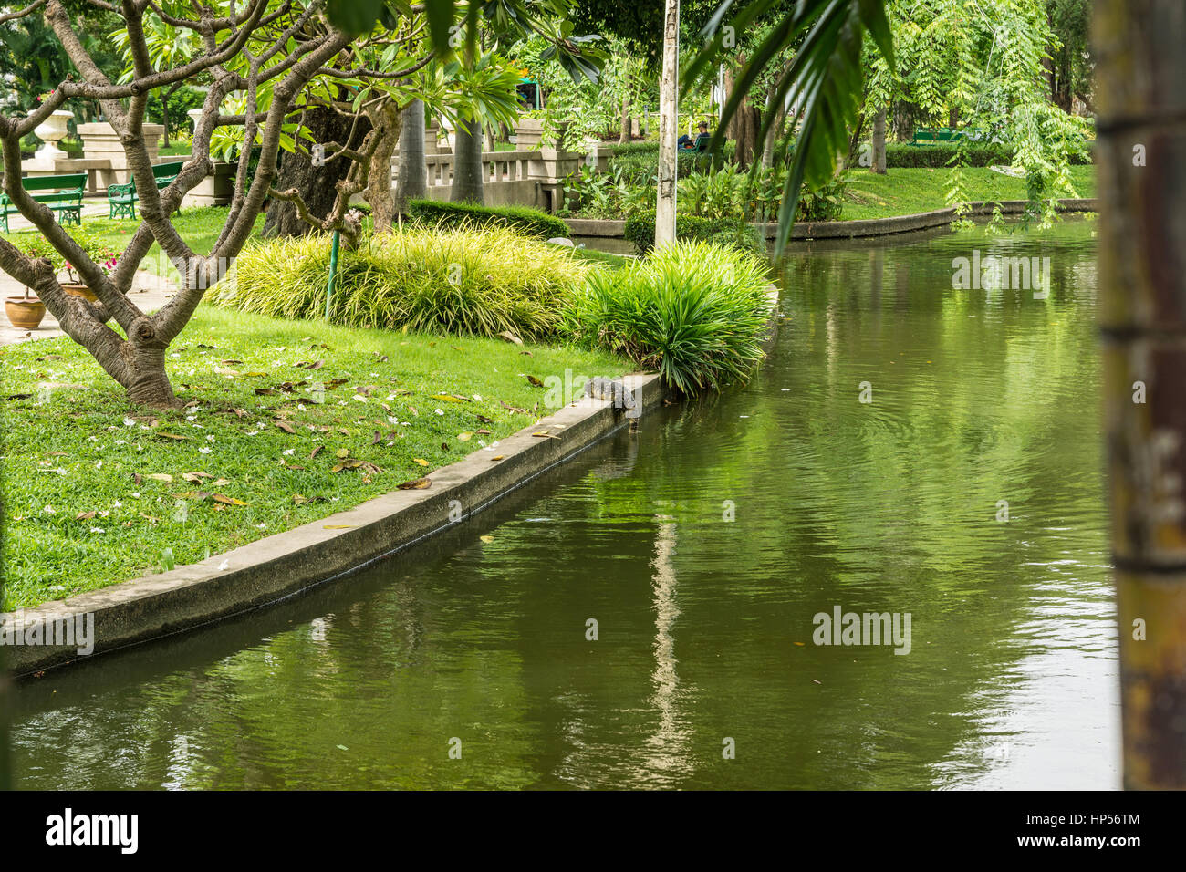 Dragon in einem Park in Bangkok, Thailand Stockfoto