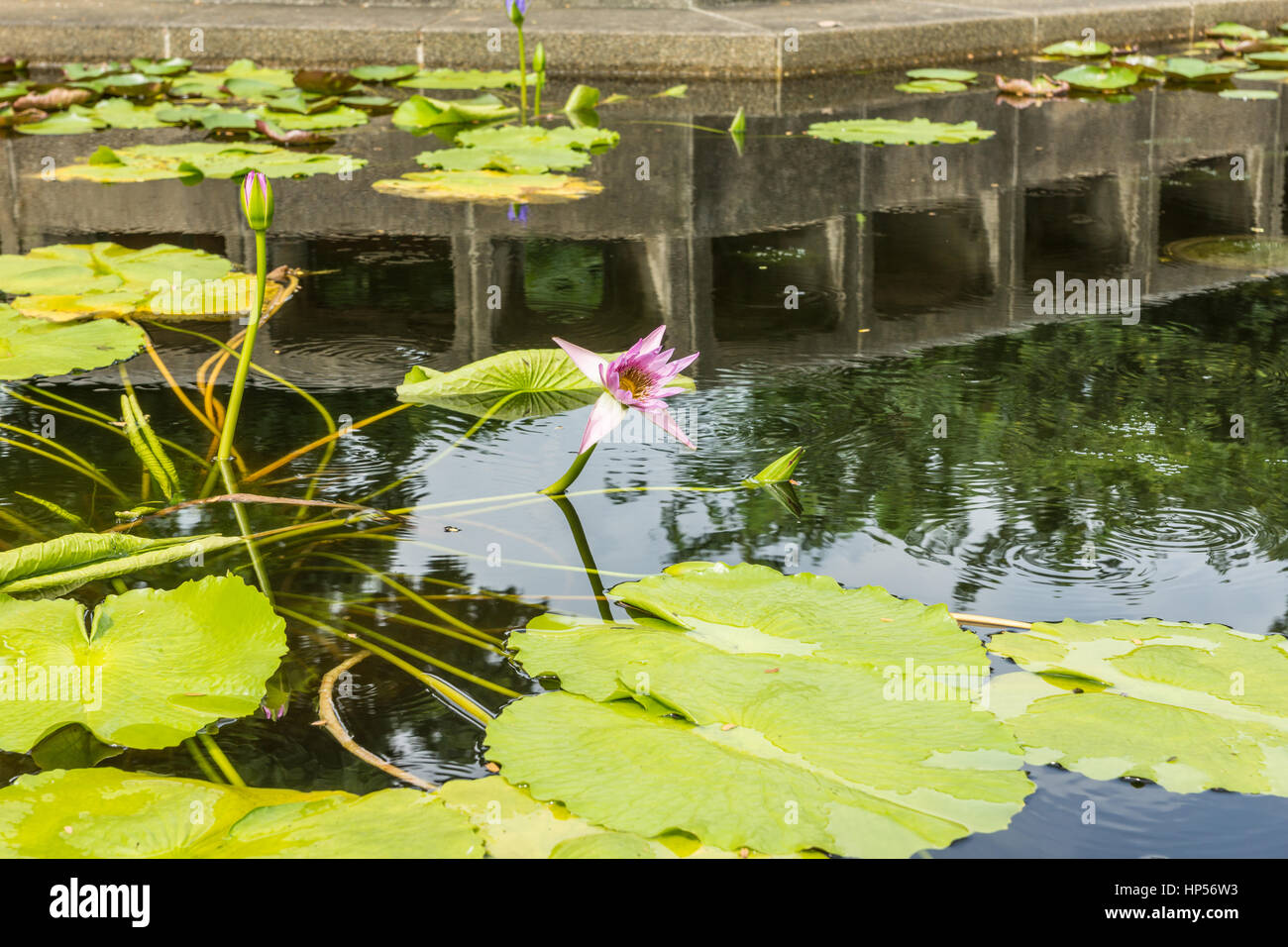 Park in Bangkok, Thailand Stockfoto