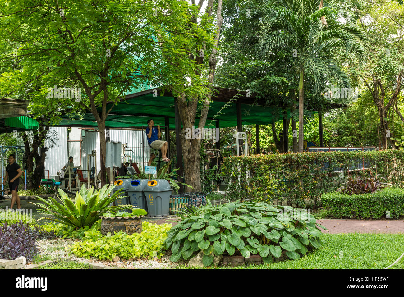 Menschen in einem Park in Bangkok Ausübung Stockfoto