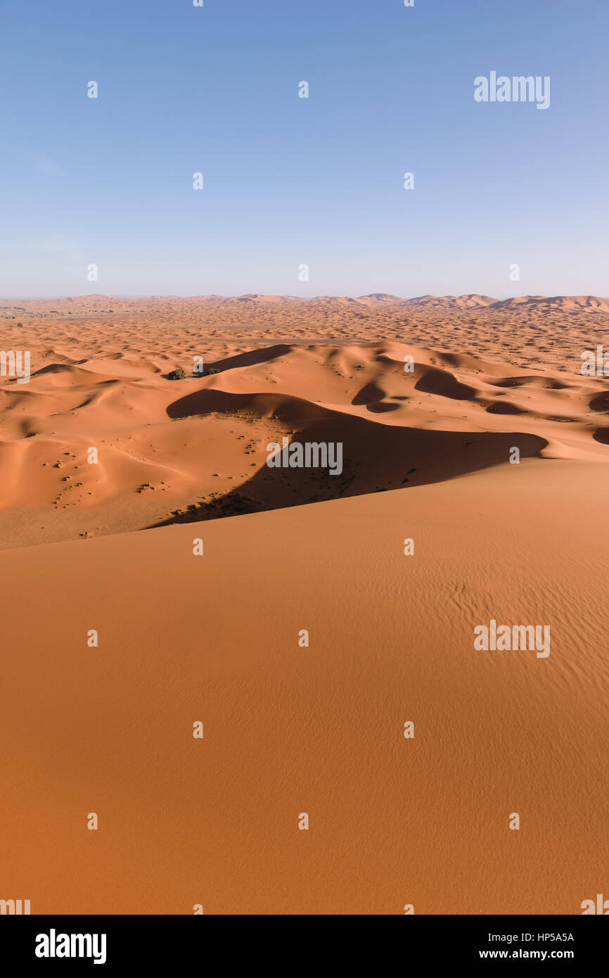 Sahara Erg Chebbi-Dünen, Merzouga, Marokko Stockfoto