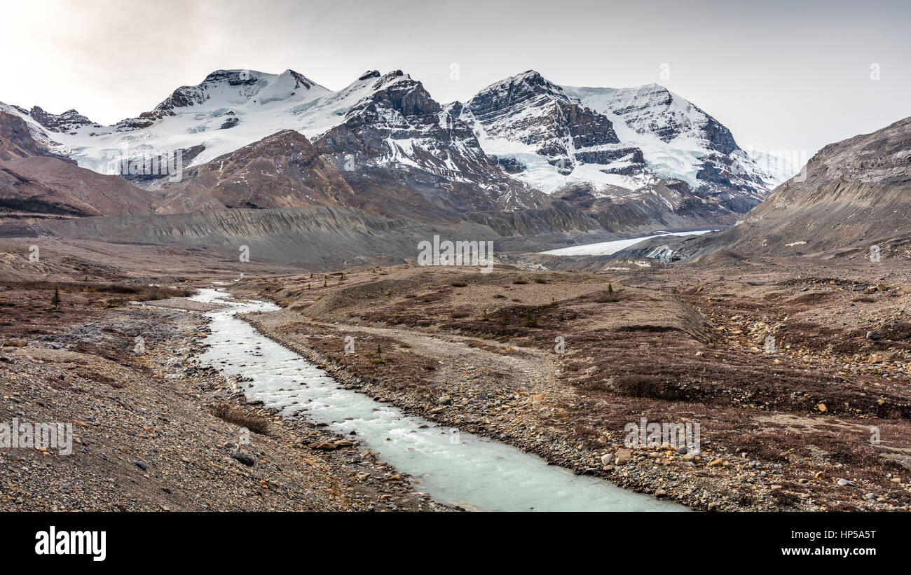 Athabasca Gletscherlandschaft Stockfoto