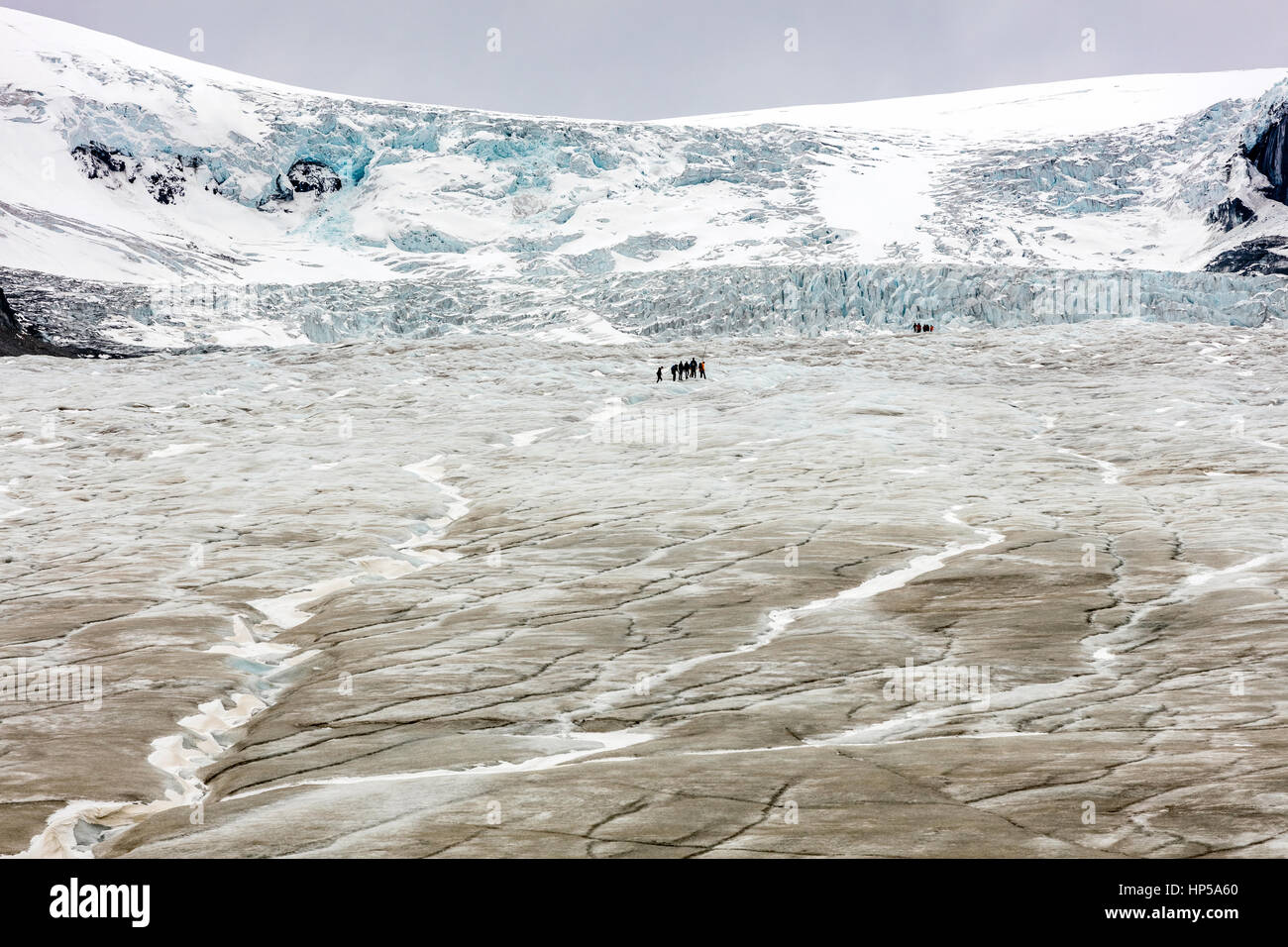 Athabasca Gletscher mit geführte Expedition zu sehen, die Auswirkungen der globalen Erwärmung und Klimawandel, Jasper Nationalpark, Alberta, Kanada Stockfoto