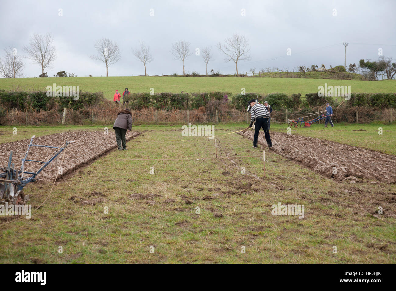 Holywood, Northern Ireland, UK. 18. Februar 2017. Demonstrationen von Pferd zu pflügen und Land Fähigkeiten auf Show auf dem Gelände des Ulster Folk Museum, Holywood. Messung der Furchen. © J Orr/Alamy Live-Nachrichten Stockfoto
