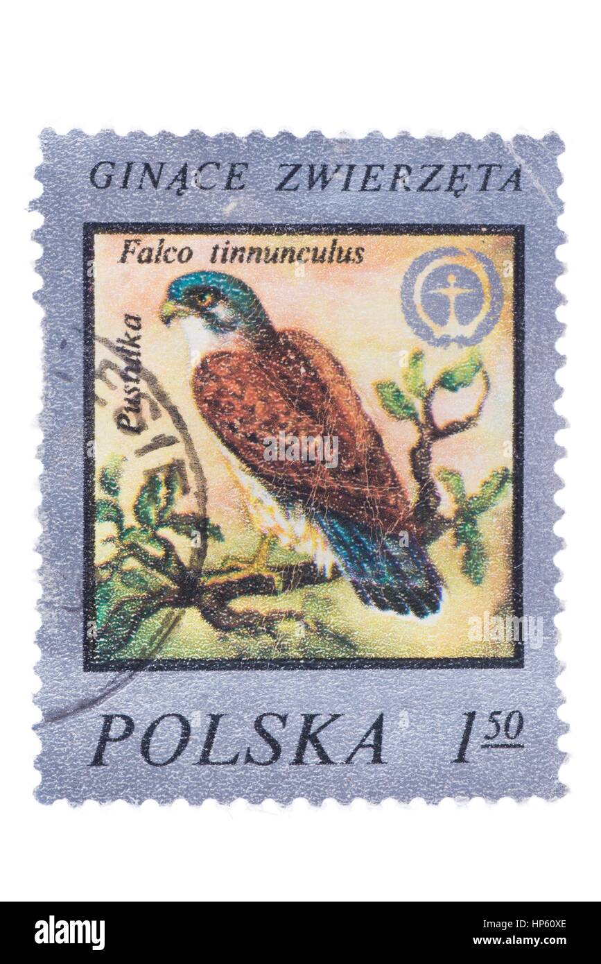 Briefmarke, isoliert Stockfoto