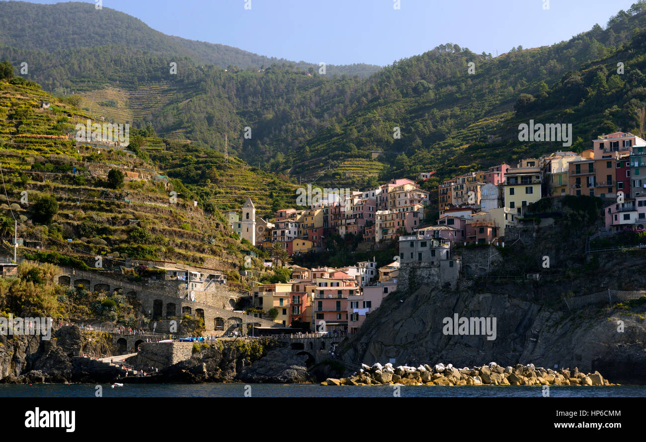 Manarolo, Cinque Terre, Küste, Küste, Dorf, Dörfer, Klippe, Felsen, Klippe, bunt, bunt, Häuser, Geschäfte, Gebäude, Räumlichkeiten, tourist Stockfoto