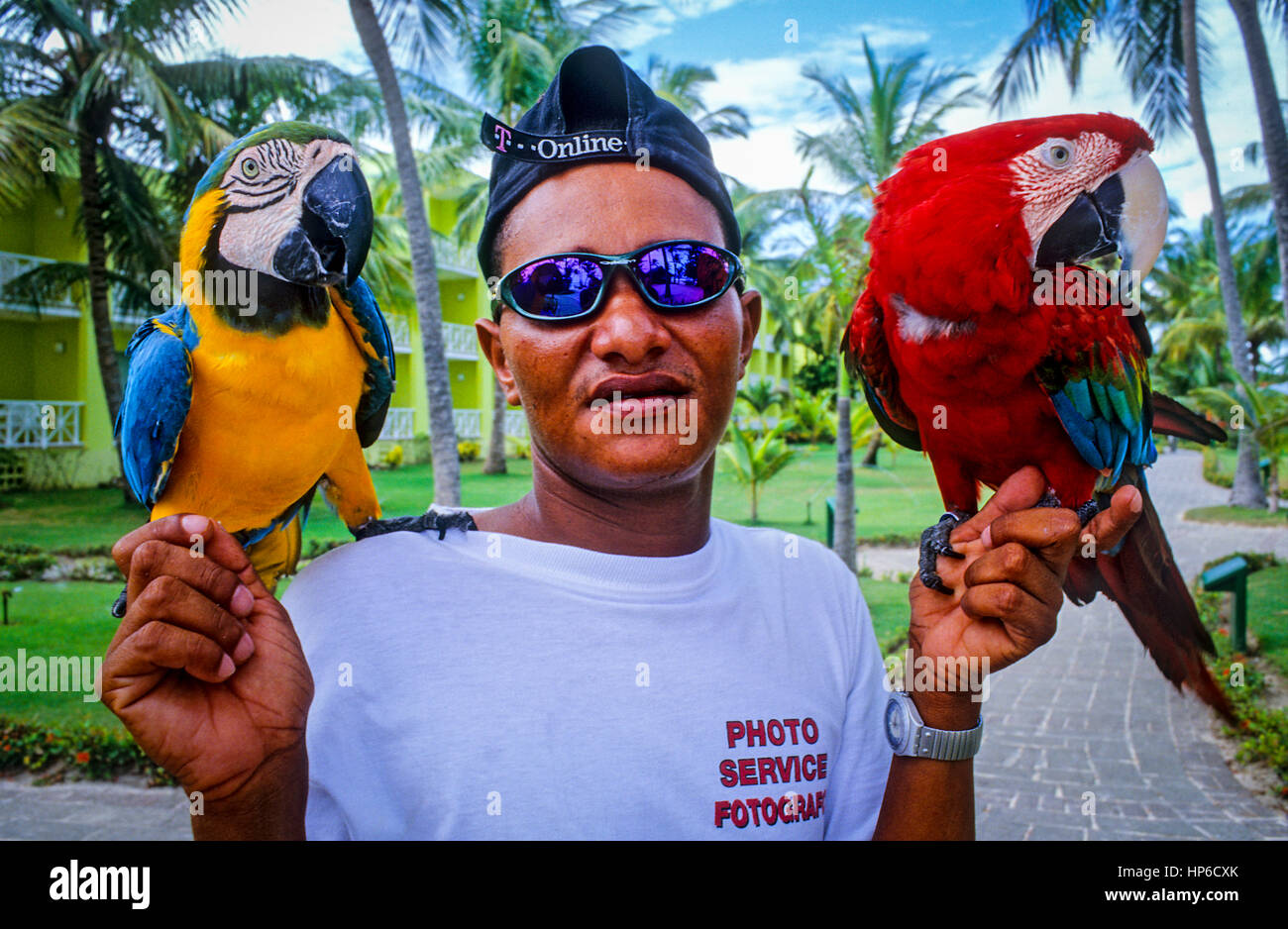Aras für Touristen, um Fotos neben ihm zu machen. Bavaro Strand. Hotel Barcelo. Punta Cana, Dominikanische Republik Stockfoto