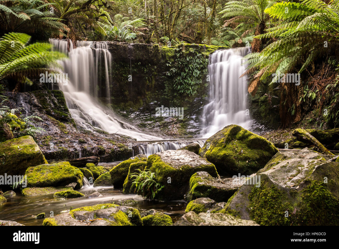 Horseshoe Falls, Mt. Field National Park, Tasmanien, Australien Stockfoto