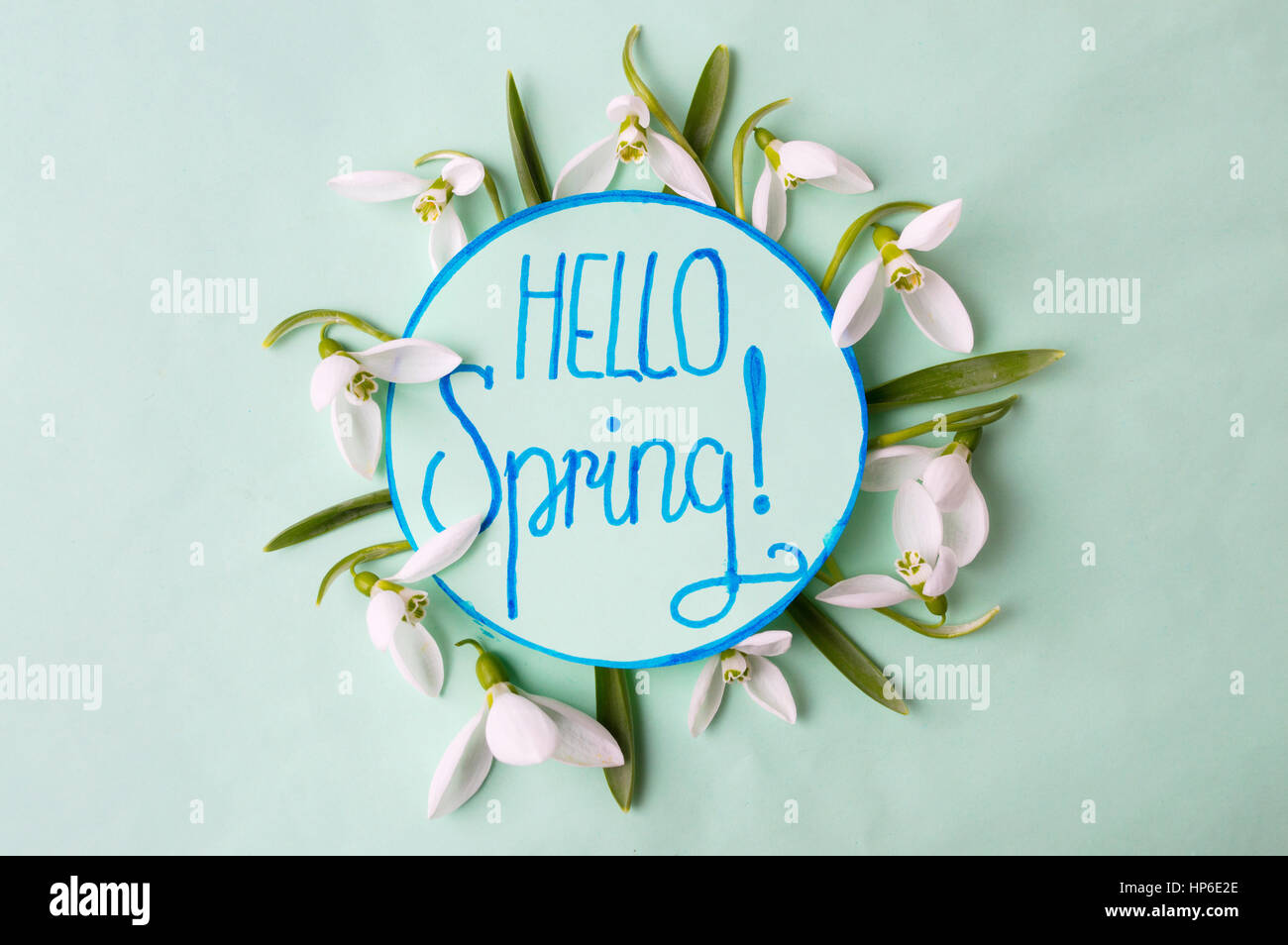 Hallo Frühling Kalligraphie Hinweis dekoriert mit Schneeglöckchen Stockfoto