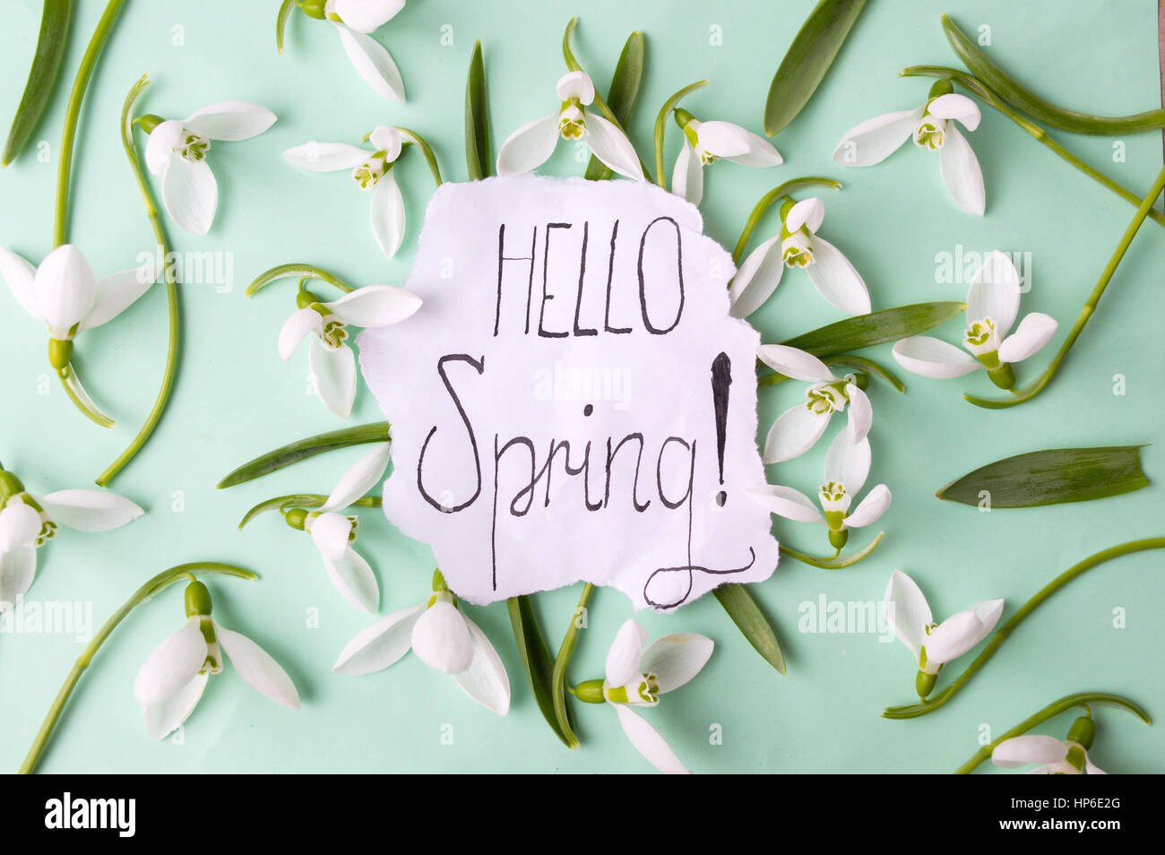 Hallo Frühling Kalligraphie Hinweis dekoriert mit Schneeglöckchen Stockfoto