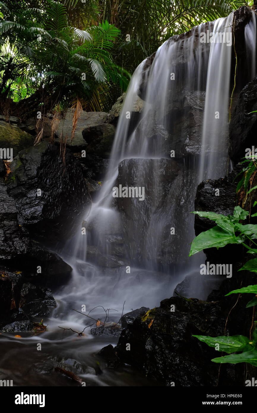 Wasserfall Stockfoto