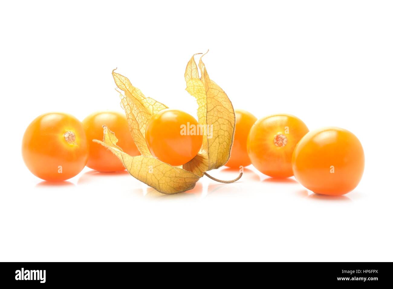 Physalis isoliert auf weißem Hintergrund Stockfoto