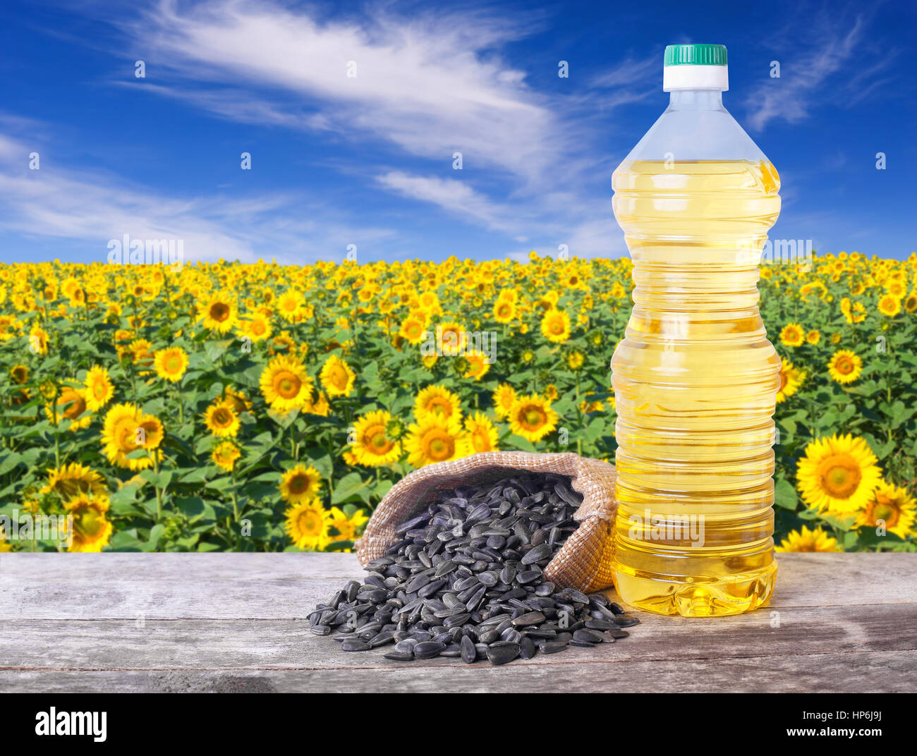 Sonnenblumenöl in Kunststoff-Flasche und Samen auf Holztisch mit Blüte Feld auf dem Hintergrund. Sonnenblumenfeld bei blauem Himmel. Foto mit textfreiraum ein Stockfoto