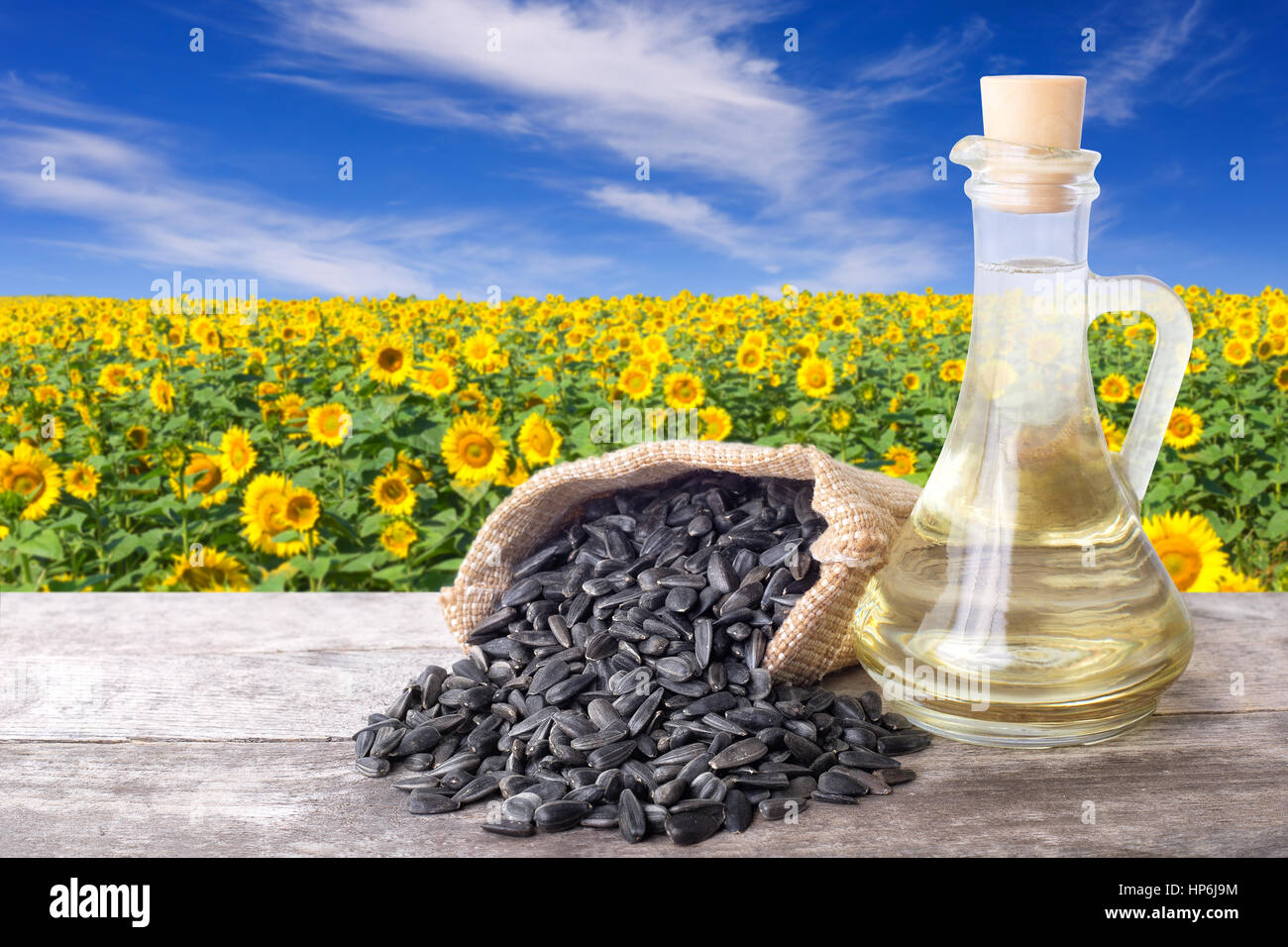Sonnenblumenöl in Glasflasche und Samen auf Holztisch mit Blüte Feld auf dem Hintergrund. Sonnenblumenfeld bei blauem Himmel Stockfoto