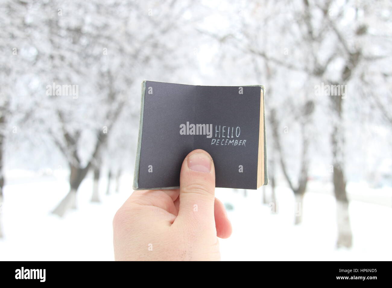 Hallo Dezember Kreativkonzept Stockfoto