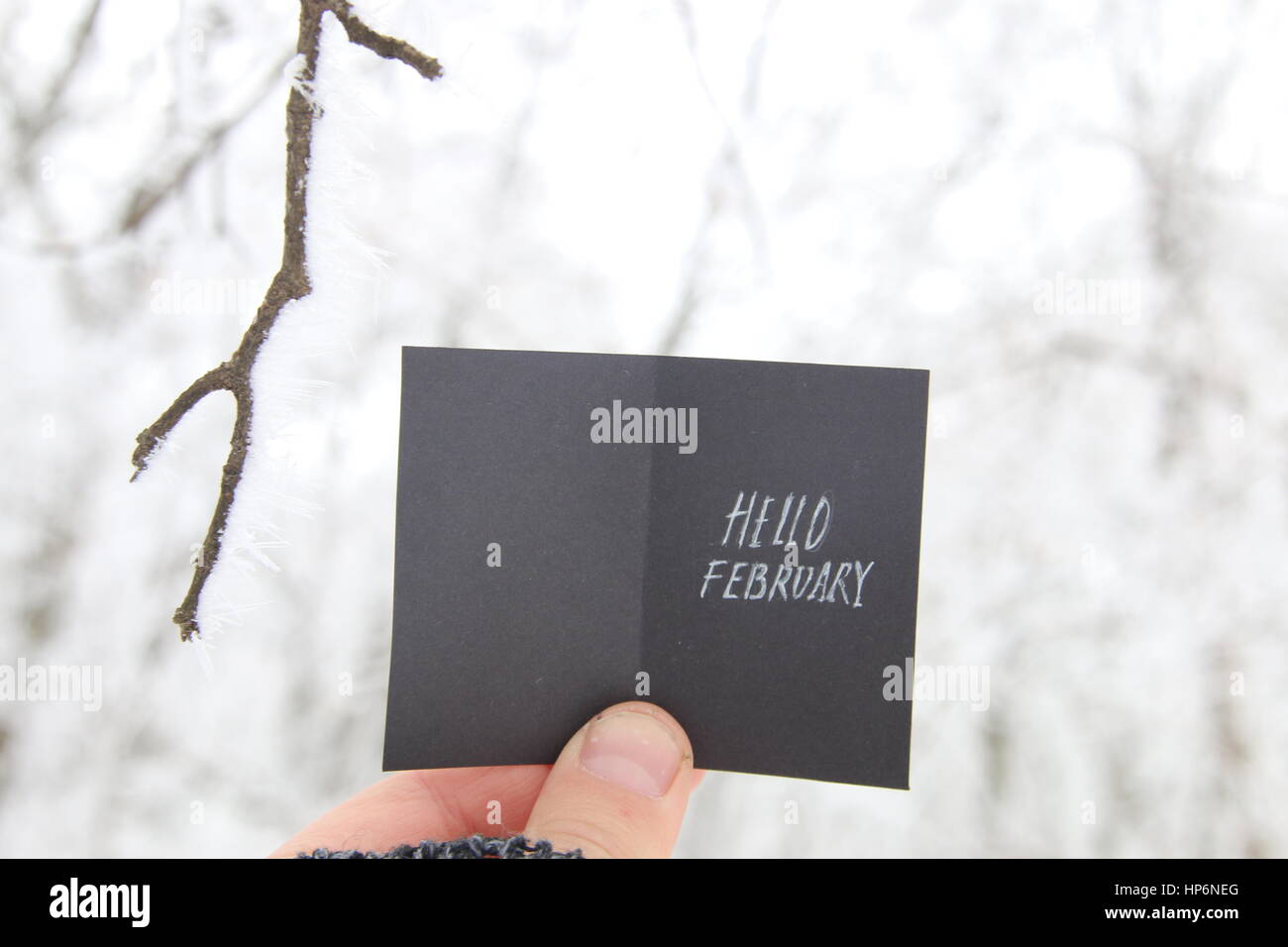 Hallo Februar Kreativkonzept Stockfoto