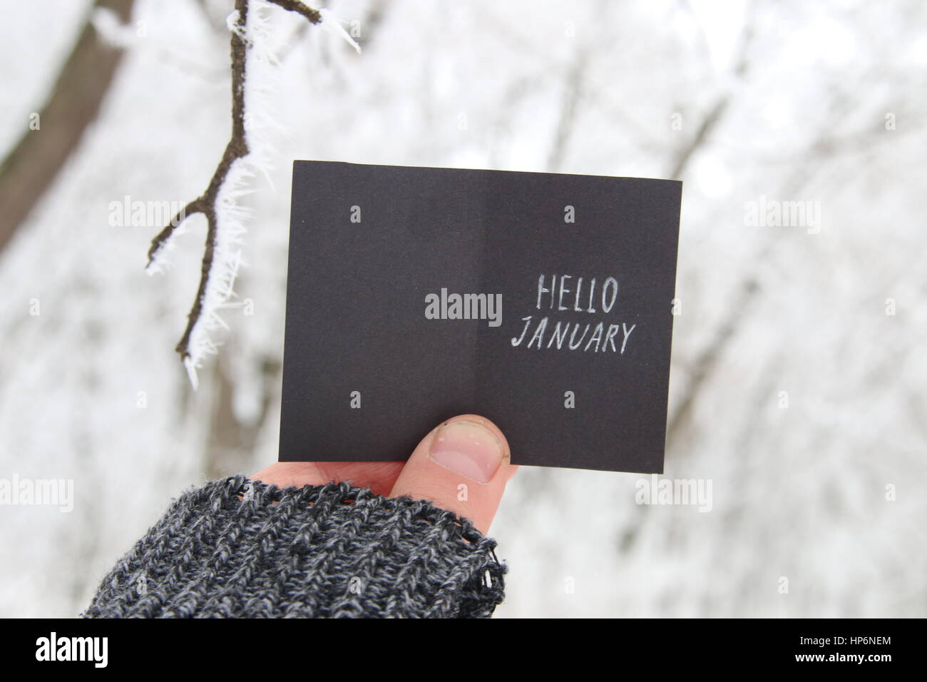 Hallo Januar Kreativkonzept Stockfoto