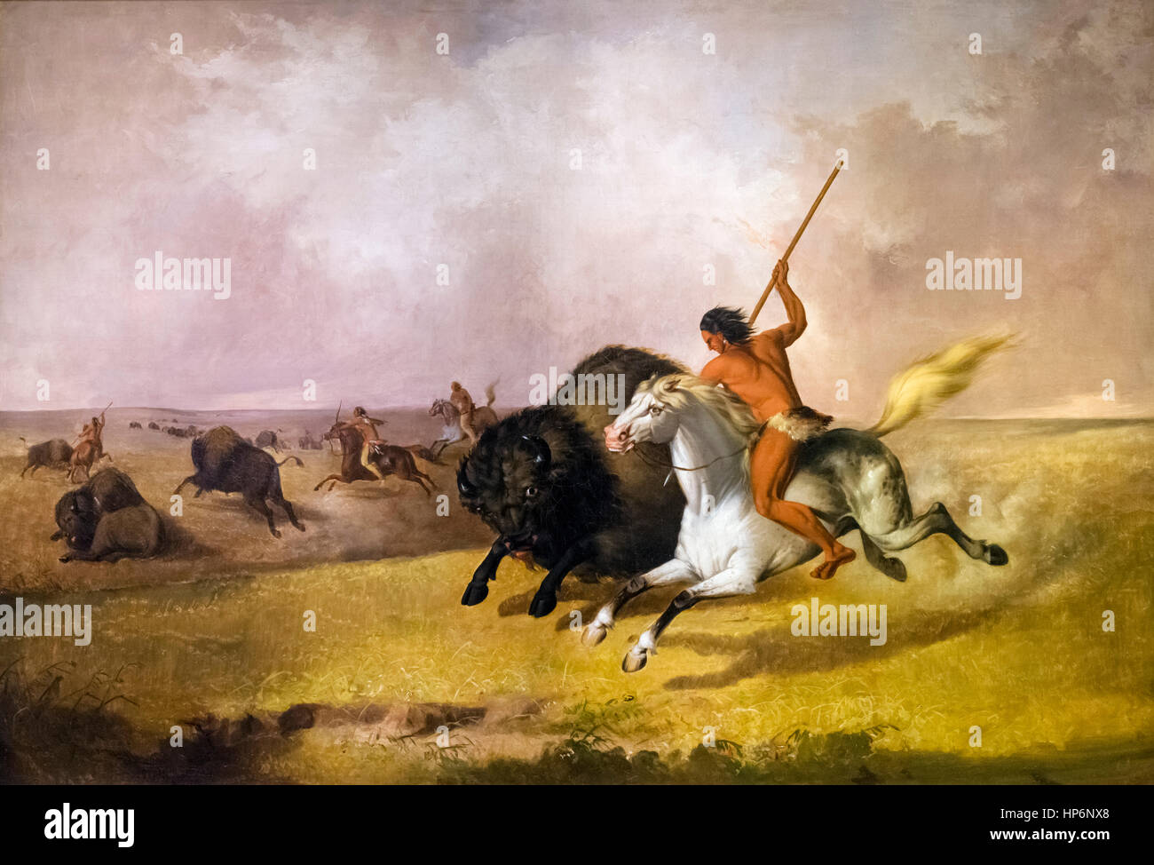 Büffel-Jagd auf den südwestlichen Prärien von John Mix Stanley, Öl auf Leinwand, 1845. Das Gemälde zeigt ein Indianer mutig einen Büffel zu durchbohren. Stockfoto