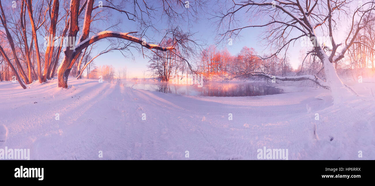 Panoramablick im Winterwald. Rote Wintersonne beleuchten frostigen Bäume im Wald. Winter Wald Sonnenlicht. Weiße Schneedecke Everithing. Stockfoto